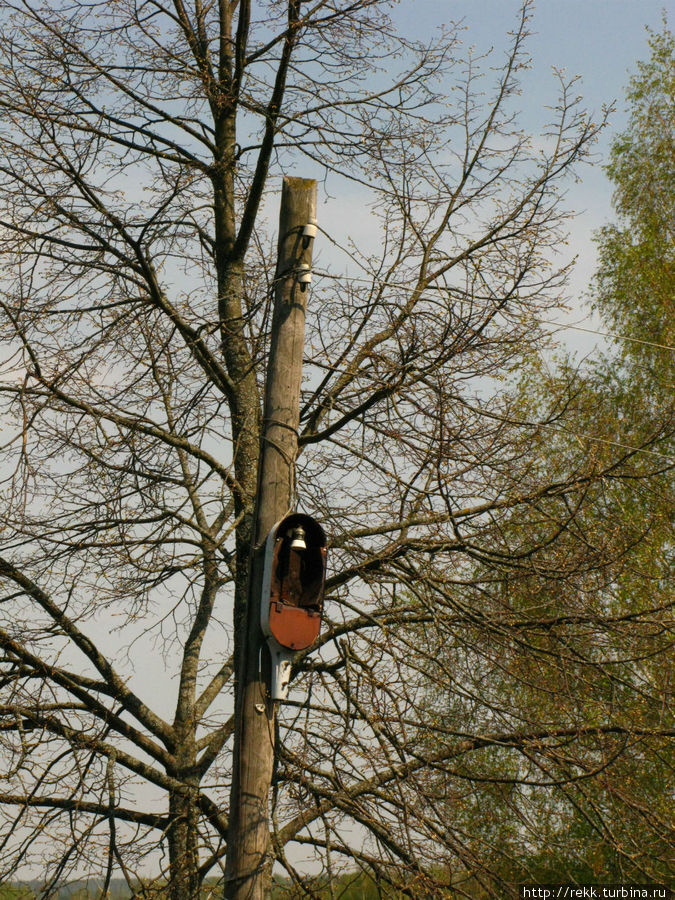В Парском грачи каркали по соседству с гнилым фонарём Парское, Россия