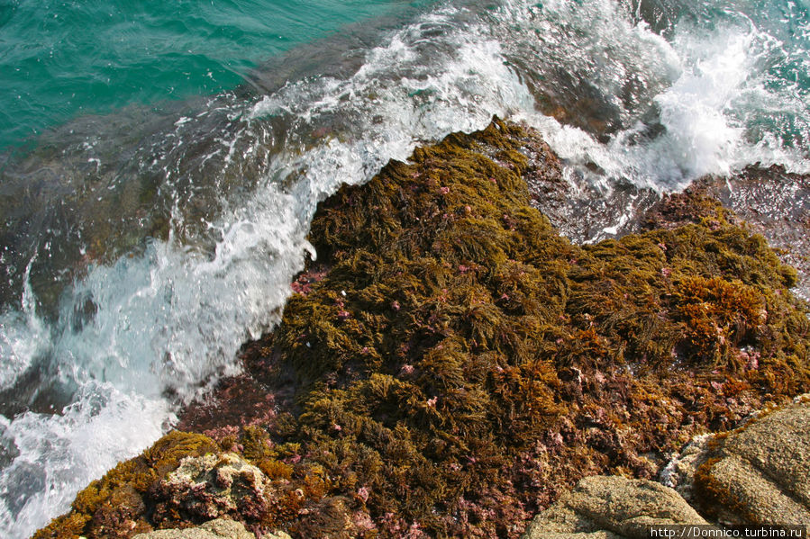 под ногами волны мягко накатывались на скалы, покрытые толстым ковром из морских водорослей. Самое правильное место, чтобы несколько раз глубоко вдохнуть и обеспечить себя достаточным запасом йода и морских минералов Ллорет-де-Мар, Испания