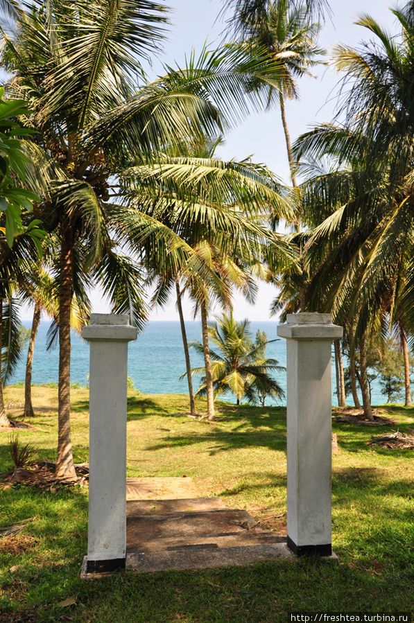Ворота в нирвану, как мне показалось, на самом деле — часть имения на соседнем с нашим отелем мысу, под сенью пальмовой рощи. Мы туда пробрались по уступам в скалах, не без опаски глядя на захлестывающие мыс волны. Шри-Ланка