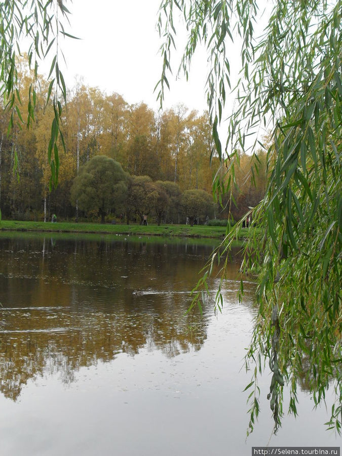 Осенние краски Сосновки Санкт-Петербург, Россия