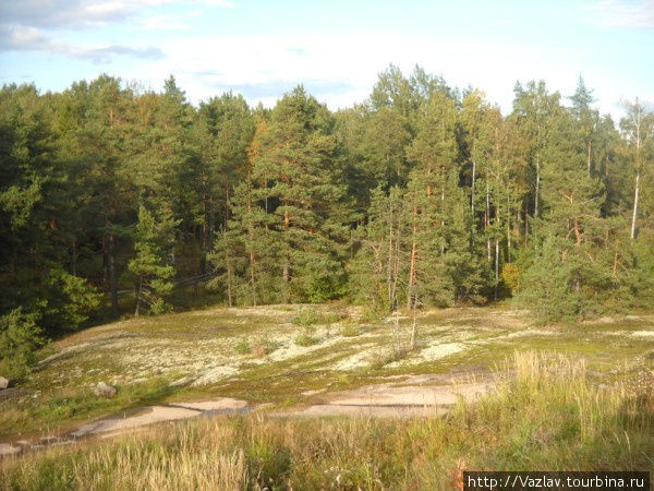 Лес покрыл бывший плац Котка, Финляндия