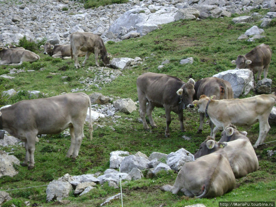 Спуск с Пилатуса Люцерн, Швейцария