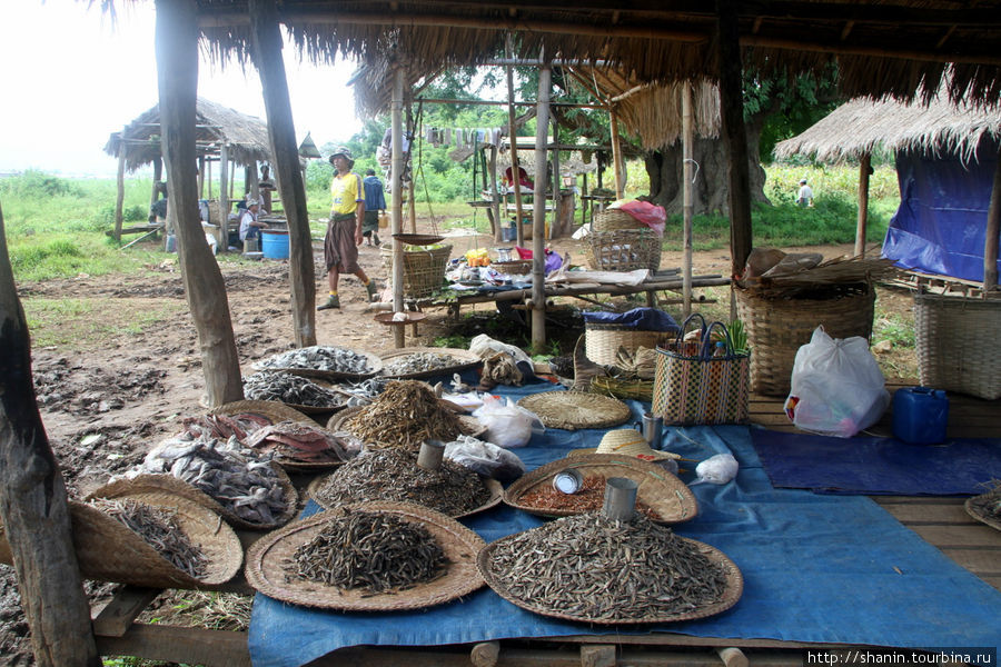 Пятничный рынок Ньяунг-Шве, Мьянма