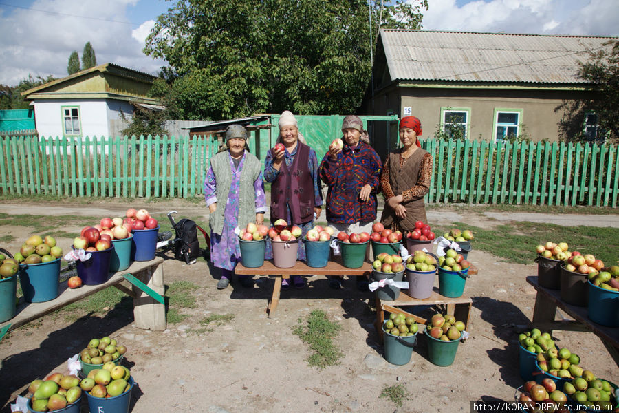 Бабульки торгуют яблоками. 100 сом ведро. Чолпон-Ата, Киргизия