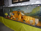Катманду. Храмовый комплекс Сваямбунатх. лежащий Будда в Музее комплекса.