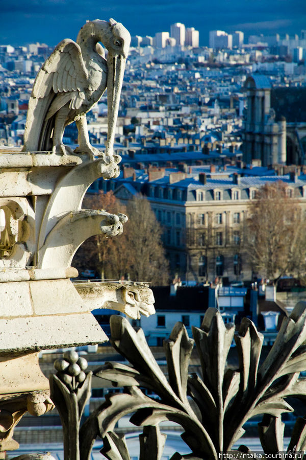 Вид с Нотр-Дама на зимний Париж Париж, Франция
