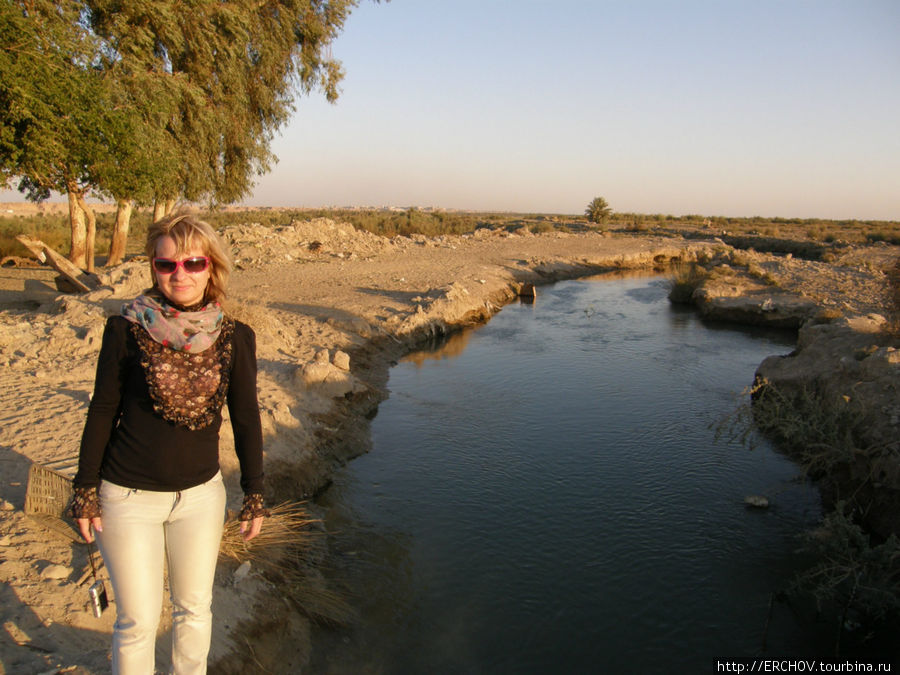 Озеро Салям Провинция Наджаф, Ирак