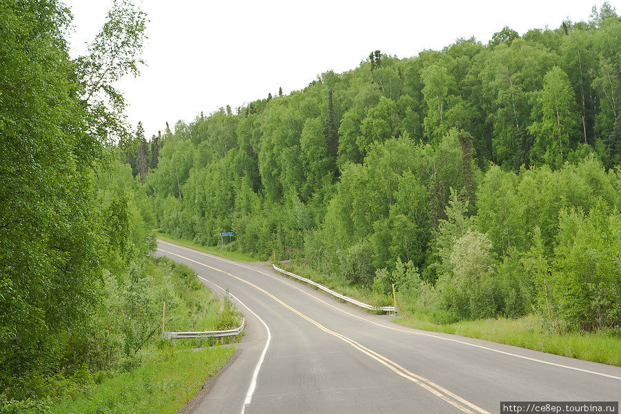 Дорога по американским меркам — чисто лесовозная просека Штат Аляска, CША