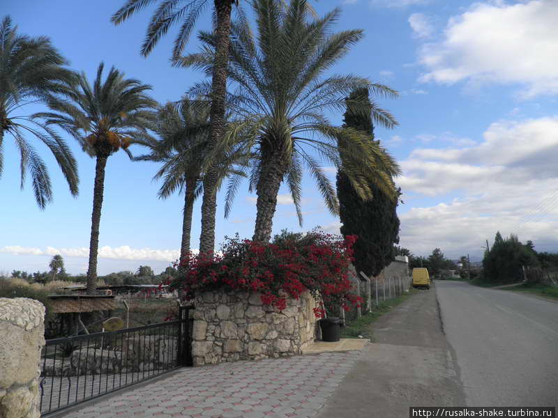 Лапта, небольшой и уютный городок, где я жила Лапитос, Турецкая Республика Северного Кипра