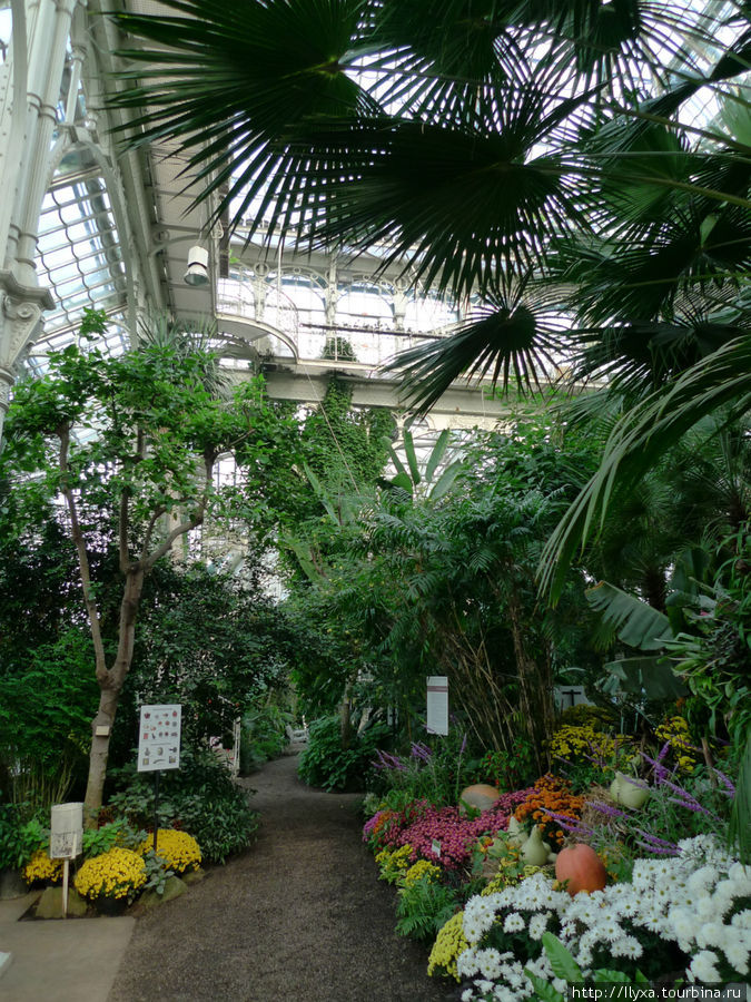 Пальмовая оранжерея (PalmHouse) Вена, Австрия