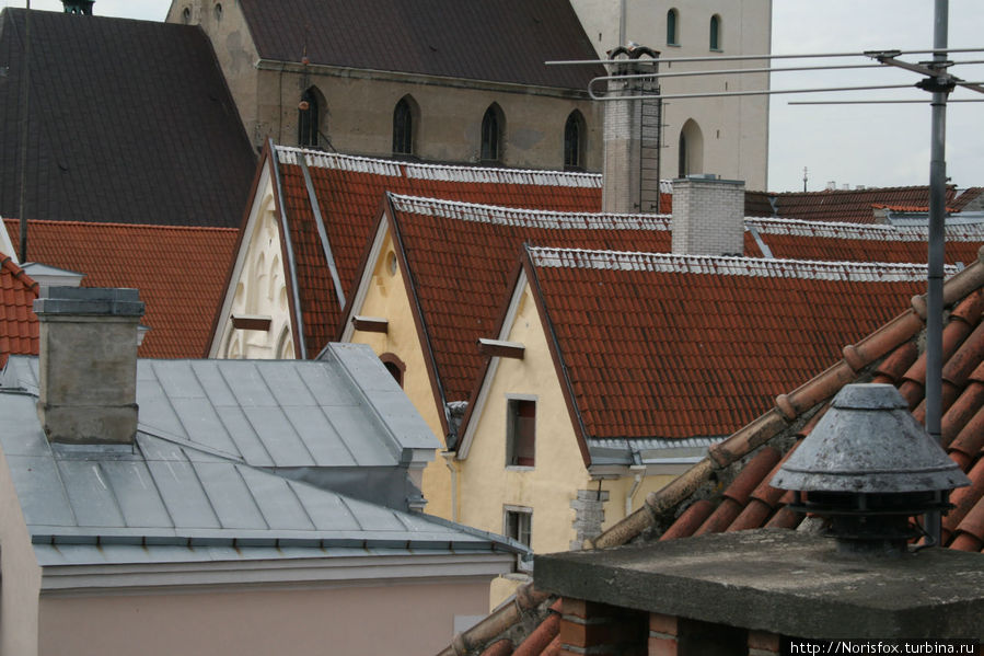 Крыши отеля Три сестры Таллин, Эстония