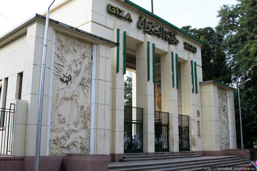 Зоопарк в каире