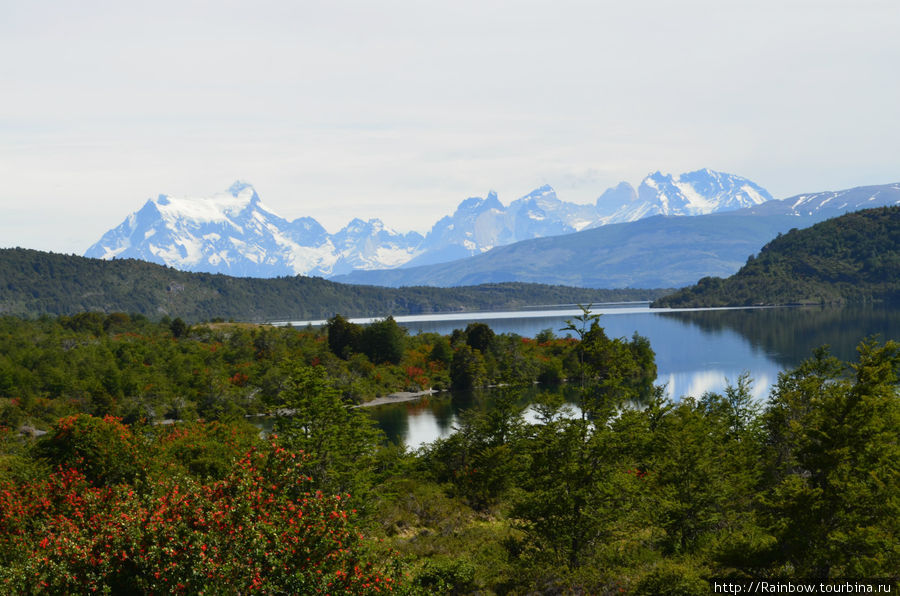 Долгая дорога к цели Национальный парк Торрес-дель-Пайне, Чили