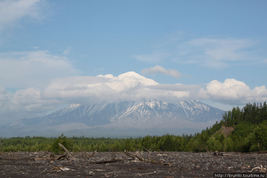 вулкан Камень Камчатский край, Россия