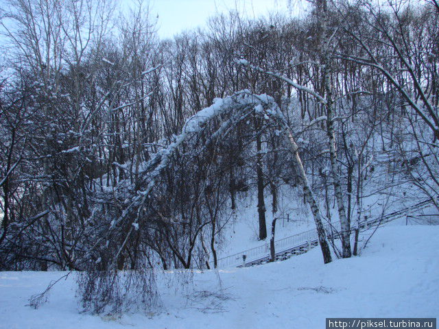 Зима открывает вид на линию фуникулера, который летом утопает в буйных зарослях растительности Киев, Украина