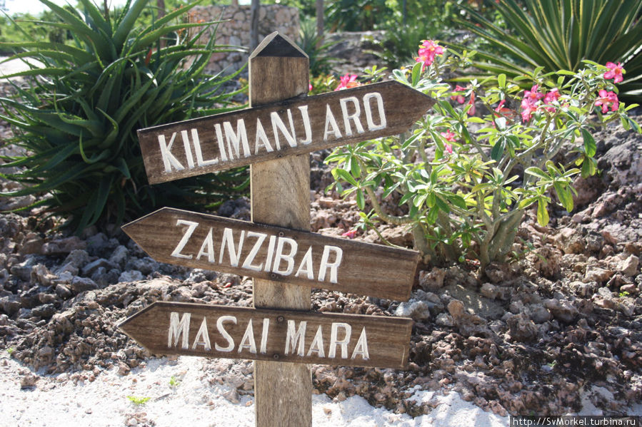 Куда идти? Занзибар, Танзания