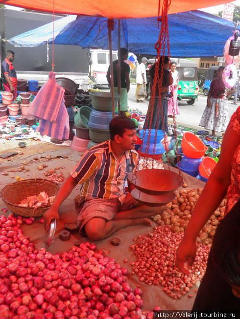Хотите почувствовать страну – идите на рынок! Шри-Ланка
