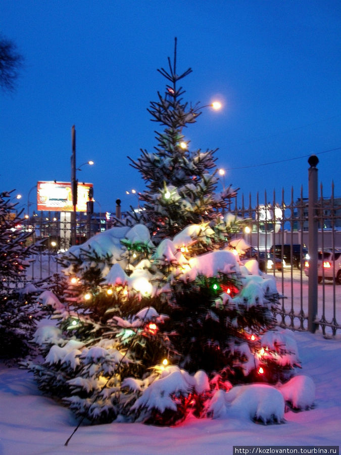 Так украшают елки работники Кузбассхлеба. Кемеровская область, Россия