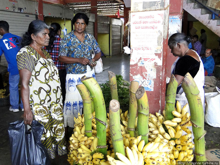 Покупателей на рынке  немного и все местные Тринкомали, Шри-Ланка