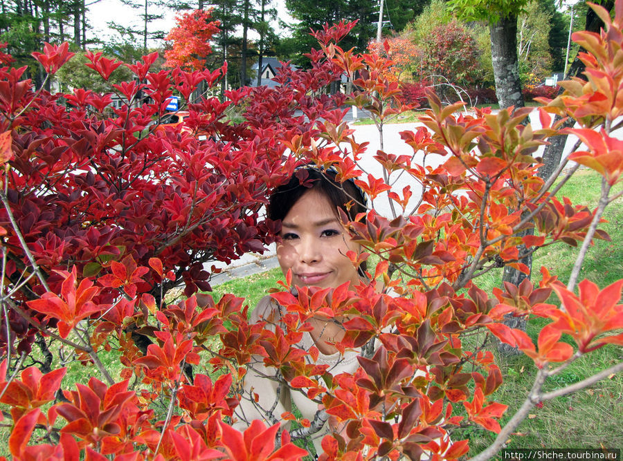 В горы в поисках красных момидзи Саку, Япония