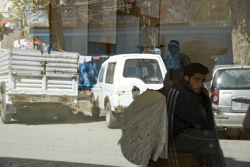 Слегка разбавленные кашмирскими брахикефалами. Один из них, грустный. Штат Джамму-и-Кашмир, Индия