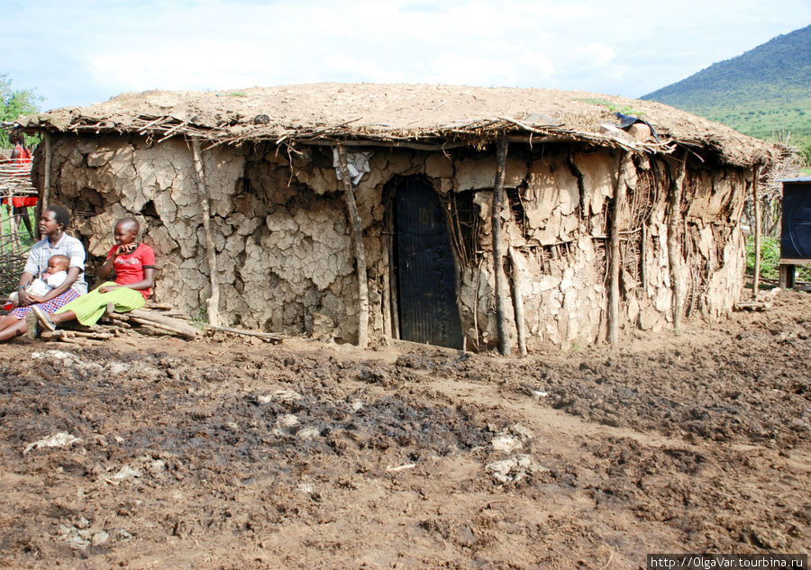 Масайский дом. Строят свои дома именно женщины, скорее даже не строят, а облепливают  каркас из прутьев и веток навозом. Этот строительный материал у них в избытке и валяется буквально под ногами Масаи-Мара Национальный Парк, Кения