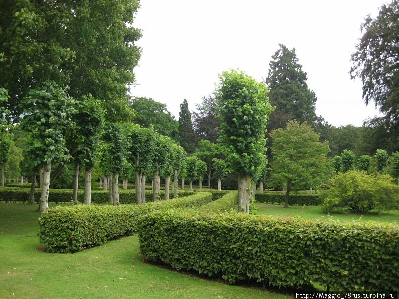 Сады и парки Нортгемптона в разные времена года Нортхемптон, Великобритания