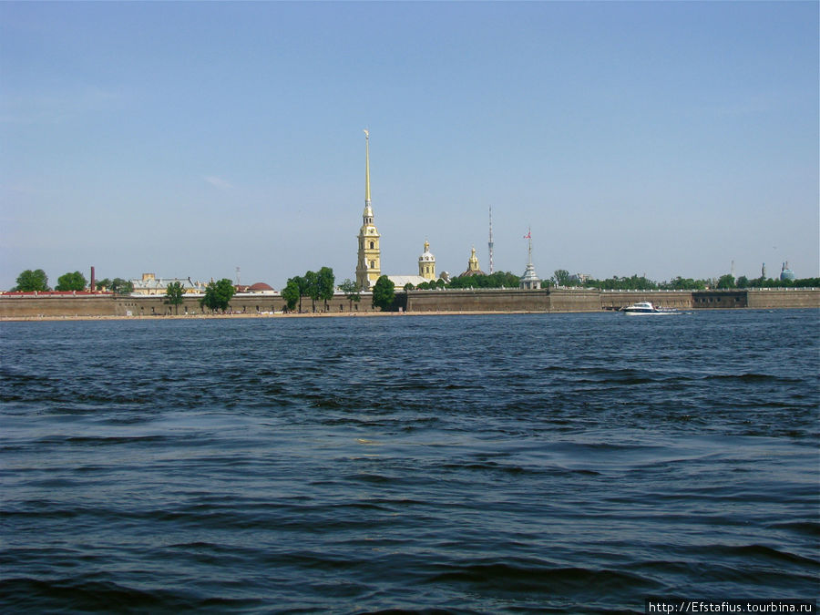 Кардиограмма Невы Санкт-Петербург, Россия