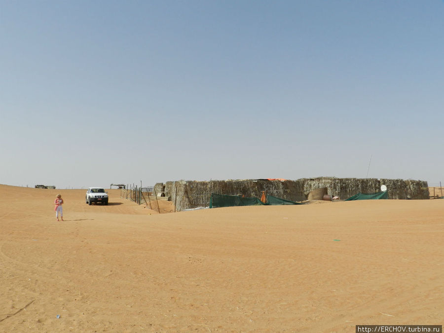 Воспоминания о Султанате  Часть 10  В гостях у  бедуинов Регион Аль-Батина, Оман