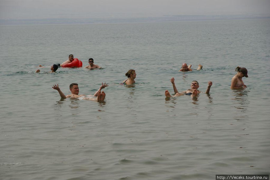 Асфальтовые воды Мёртвого моря Иордания