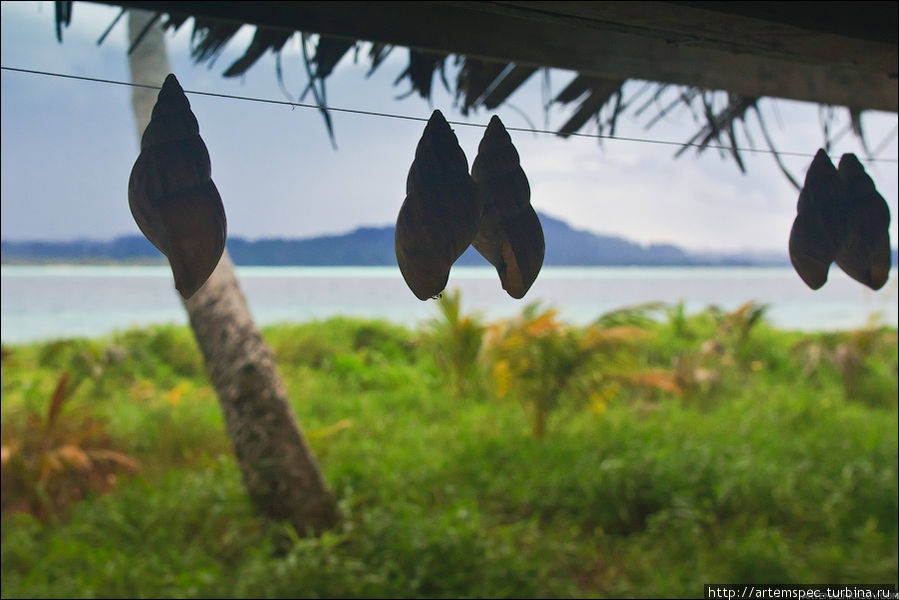 Ракушки на веревочке — прекрасное украшение, а там они буквально хрустят под ногами. Суматра, Индонезия