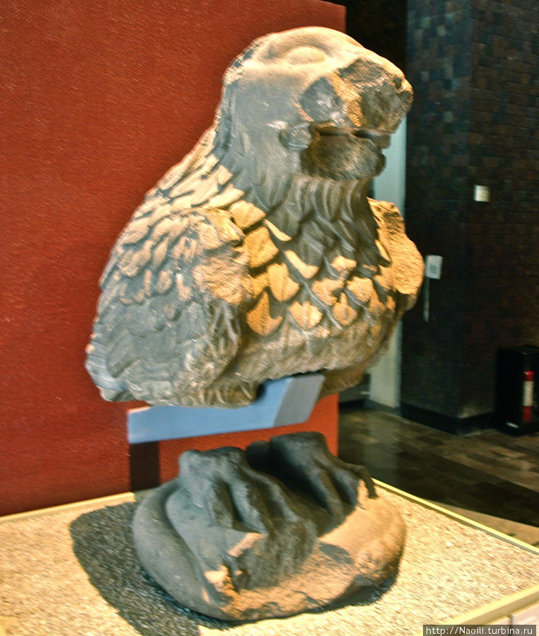Орел — Ягуар, символ воина мехика
