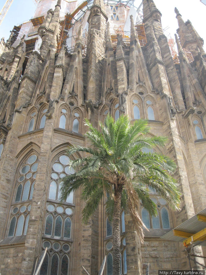 Моя прянично-готичная Барса Барселона, Испания
