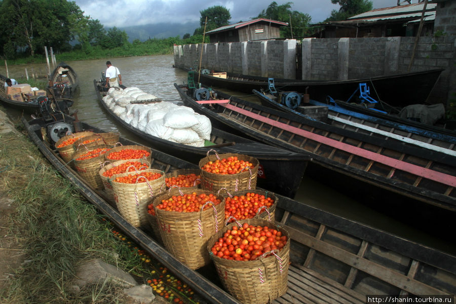 Лодка с урожаем помидоров у пристани в Няунг-Шве Ньяунг-Шве, Мьянма