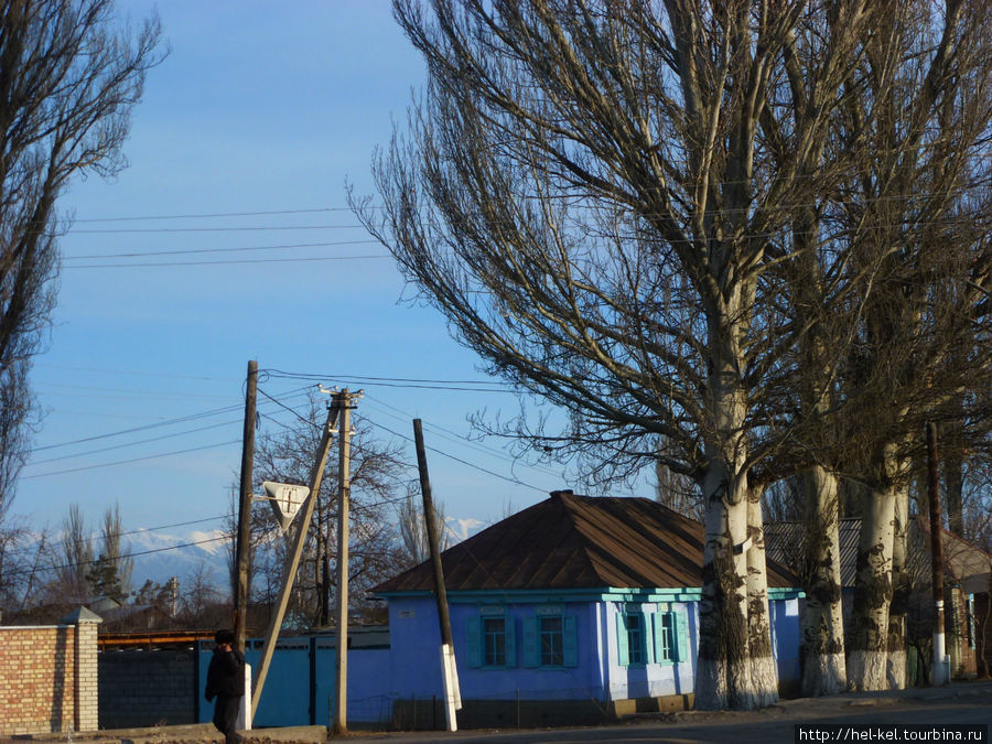 Одноэтажный Каракол и тополя-исполины Каракол, Киргизия