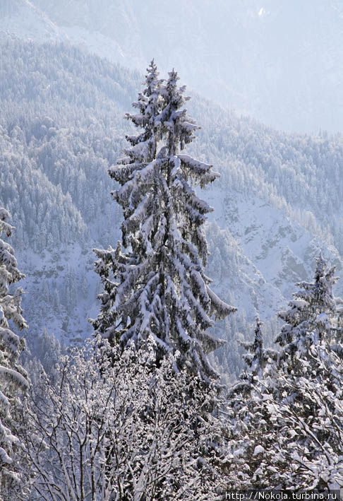 Подъем на гору Экбауер Земля Бавария, Германия