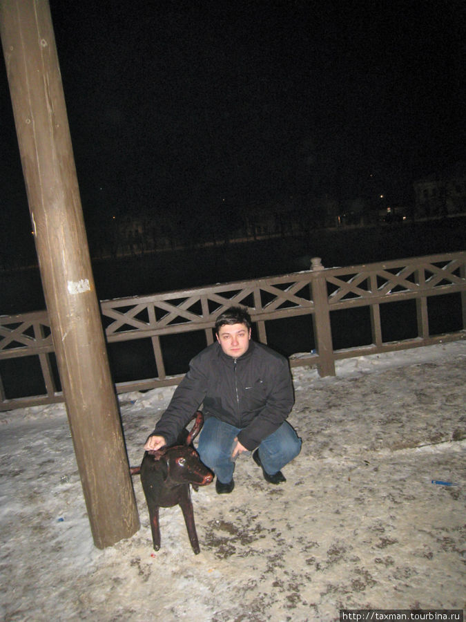 писающая собачка на первый фонарный столб Вологды Вологда, Россия