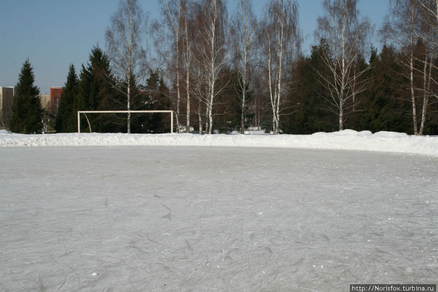 Летом здесь играют в футбол, а сейчас еще можно успеть погонять на коньках Одинцово, Россия