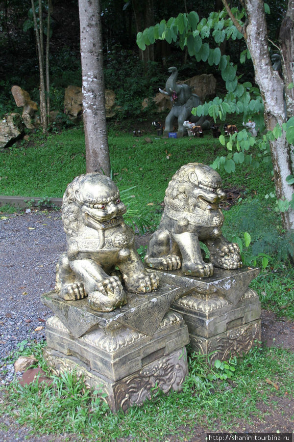 Два льва Кхао-Яй Национальный Парк, Таиланд