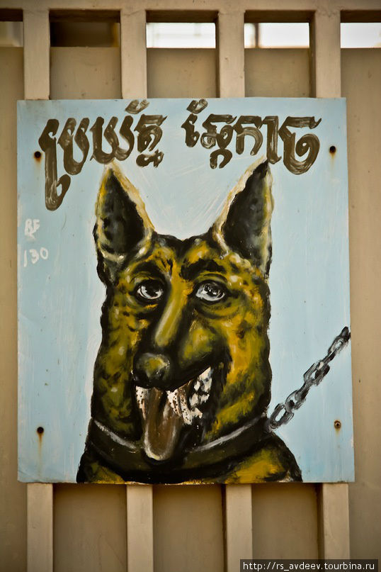 Осторожно — злая собака Камбоджа