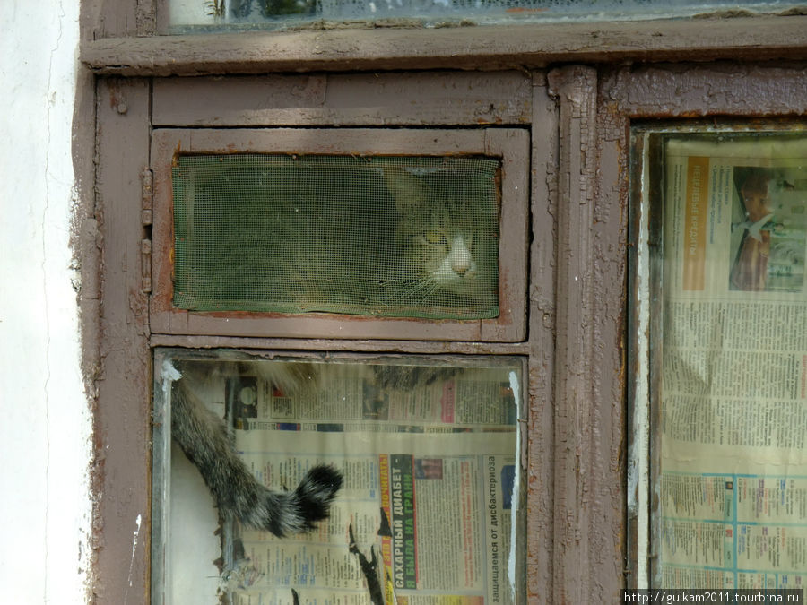 Коротко о главном Серпухов, Россия