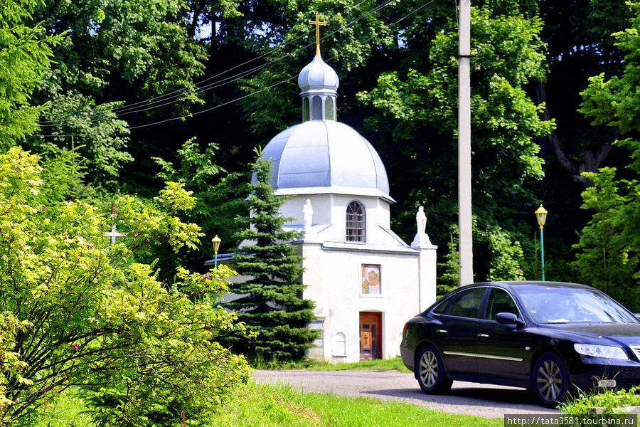 Василианский монастырь в Подгорцах Подгорцы (Бродовский район), Украина