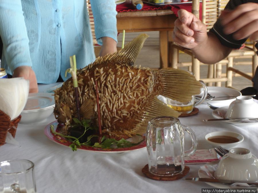 Жаренная рыба, которою потом разламывают, кусочки без костей скручивают вместе с соусом и зеленью в листочки рисовой бумаги и дают отведать гостям. Фантхиет, Вьетнам