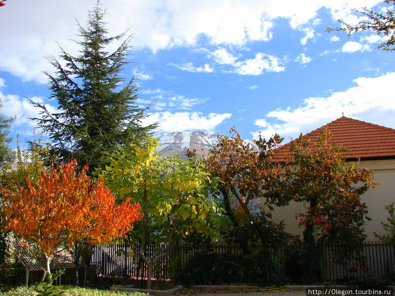 Осенние пейзажи долины Кадиша Долина Кадиша, Ливан