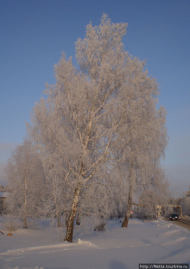 Зимняя сказка Алтайский край, Россия