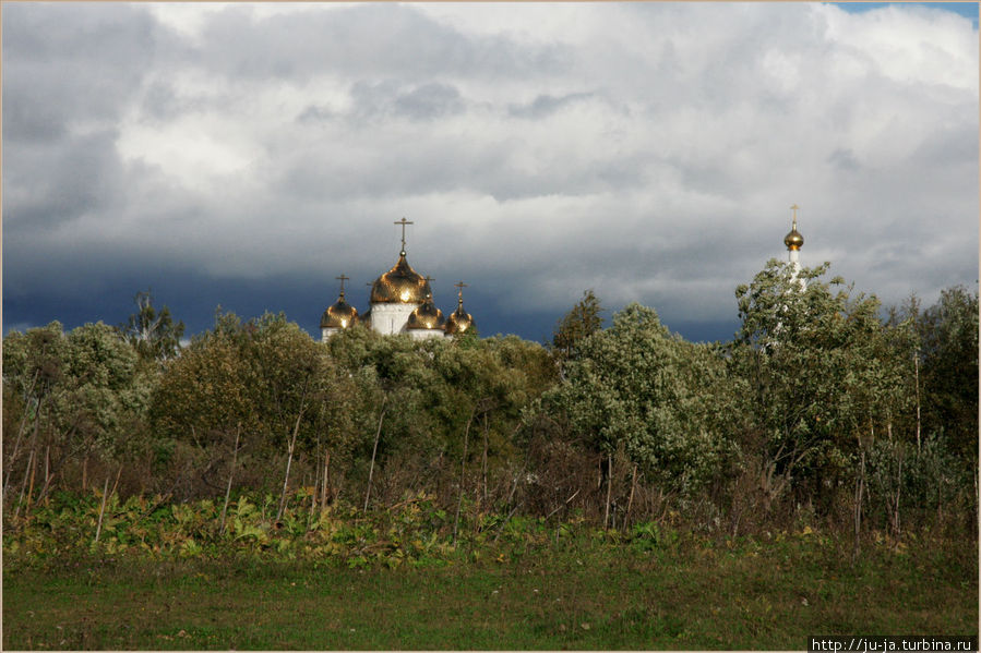 Галопом и рысью по окрестностям Лужецкого монастыря Можайск, Россия