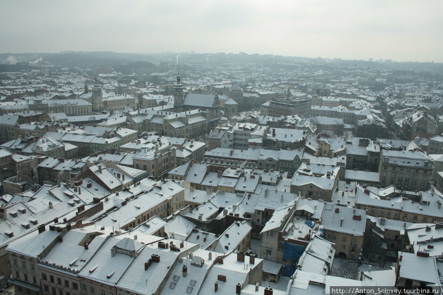 Львовские крыши, вид с ратуши Украина