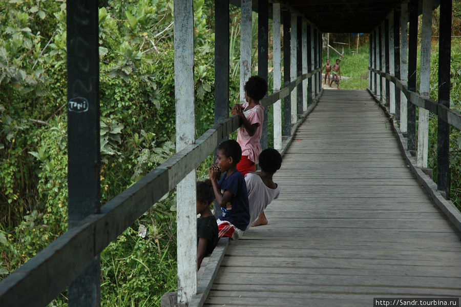Мост через речку, которая впадает в Мамберамо. Папуа, Индонезия