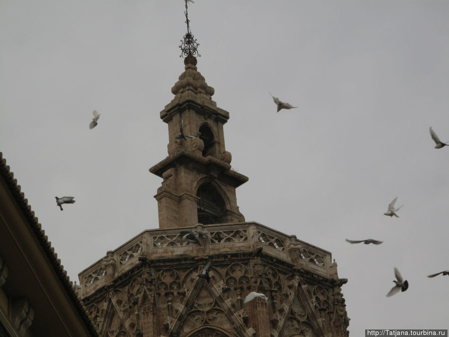 Кафедральный Собор , Чаша Святого Грааля и вид сверху. Валенсия, Испания