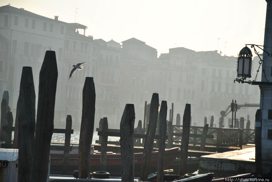 туманное утро Венеция, Италия